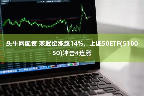 头牛网配资 寒武纪涨超14%，上证50ETF(510050)冲击4连涨
