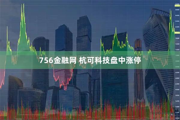 756金融网 杭可科技盘中涨停