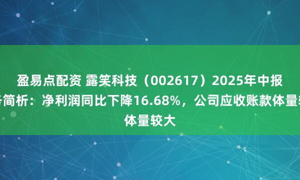 盈易点配资 露笑科技（002617）2025年中报财务简析：净利润同比下降16.68%，公司应收账款体量较大