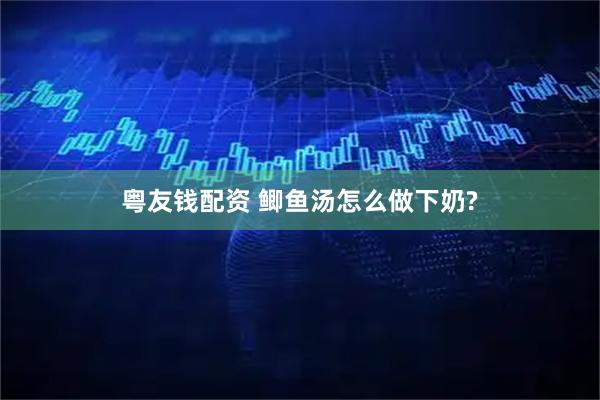 粤友钱配资 鲫鱼汤怎么做下奶?