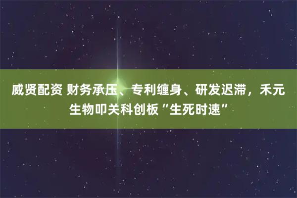 威贤配资 财务承压、专利缠身、研发迟滞，禾元生物叩关科创板“生死时速”
