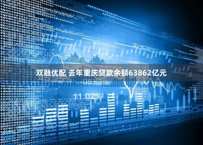 双融优配 去年重庆贷款余额63862亿元
